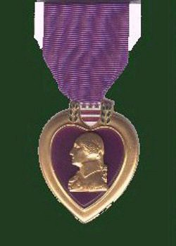 PurpleHeart.jpg (18101 bytes)